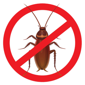 Cockroach Control Services