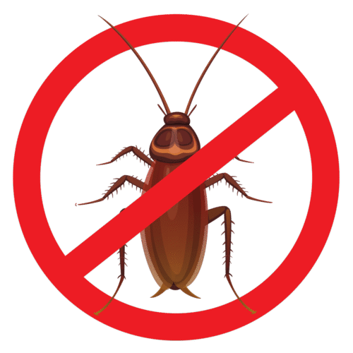 6 Cockroach Control Services