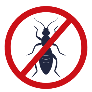 Termite Control In Bangalore