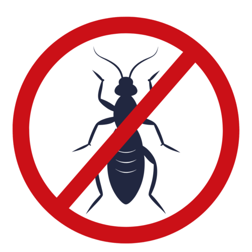 7 Termite Control In Bangalore